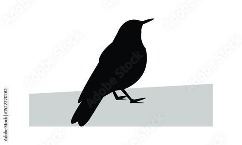Alpine thrush bird Silhouette Design  And Vector Illustration. 