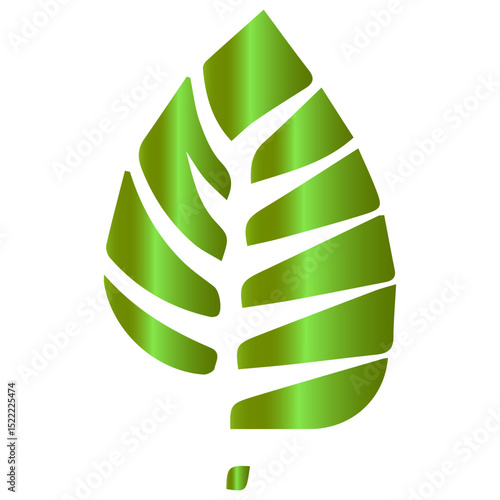 An artistic vector leaf that resembles elegant, weightless scaffolding
