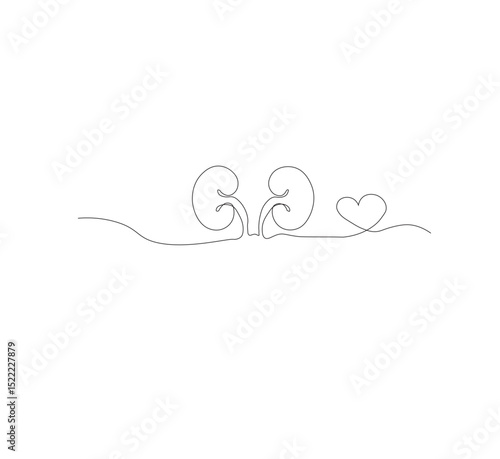 Wallpaper Mural One continuous line drawing of the human kidney organ. White background, vector illustration Torontodigital.ca