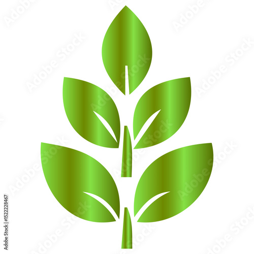 A beautiful symphony of shapes creating a unique summer leaf motif