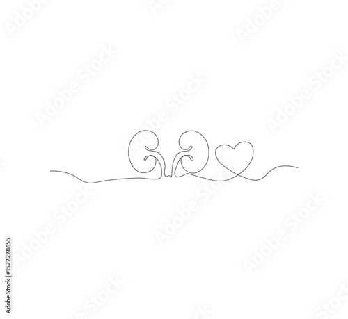One continuous line drawing of the human kidney organ. White background, vector illustration