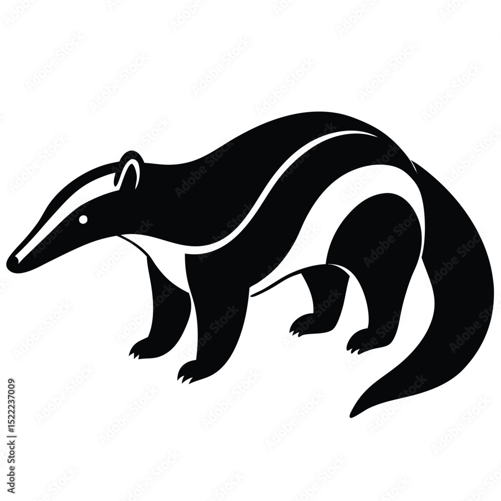 Obraz premium anteater vector