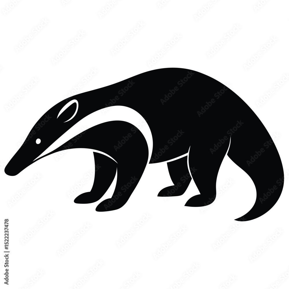 Obraz premium anteater vector