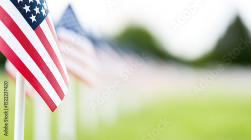 Military cemetery honors fallen heroes with rows of American flags
