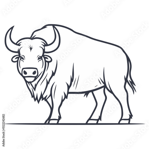buffalo, animal, vector, transparent background, cattle, isolated, mammal, cute, nature, agriculture, livestock, farm