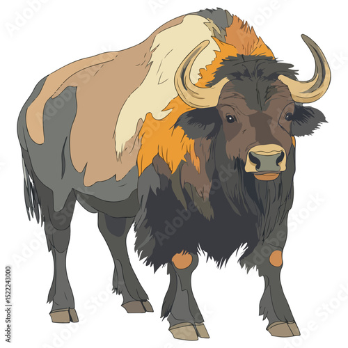 buffalo, animal, vector, transparent background, cattle, isolated, mammal, cute, nature, agriculture, livestock, farm