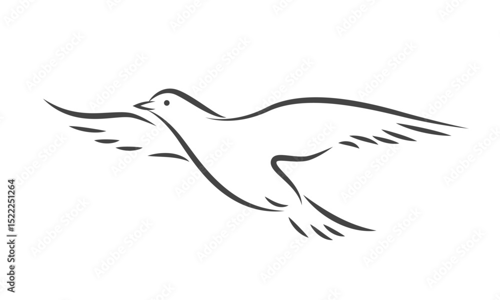 Obraz premium Bird silhouette in flight. Line drawing of dove. Vector illustration