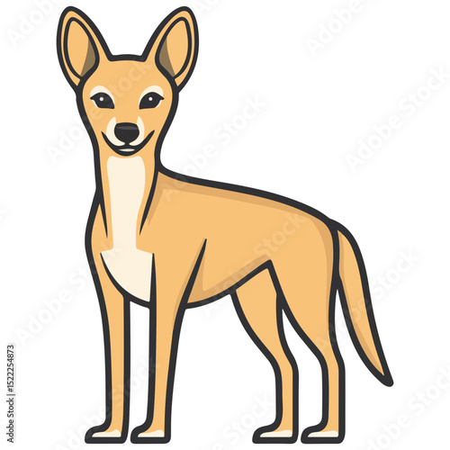 jackal, animal, vector, transparent background, mammal, isolated, nature, wild animal, wildlife, wolf, wild, canine, carnivore, predator