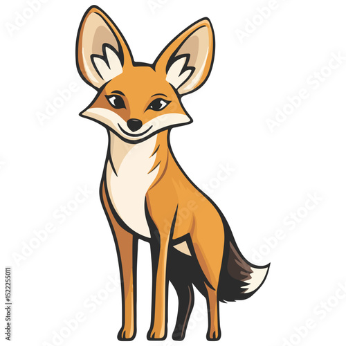 jackal, animal, vector, transparent background, mammal, isolated, nature, wild animal, wildlife, wolf, wild, canine, carnivore, predator