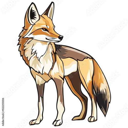 jackal, animal, vector, transparent background, mammal, isolated, nature, wild animal, wildlife, wolf, wild, canine, carnivore, predator