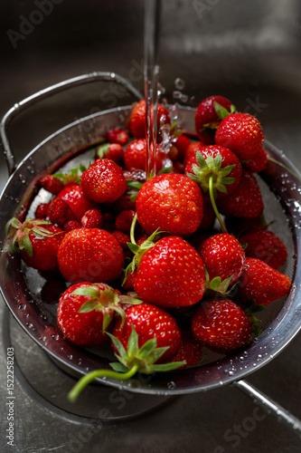 Obraz na plátně Fresh strawberries rinsing in a metal colander under a stream of water in a kitchen sink