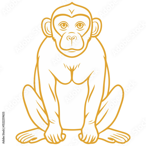 macaque, animal, vector, transparent background, mammal, symbol, wildlife, cute, zoo, nature, isolated, jungle, asia, icon