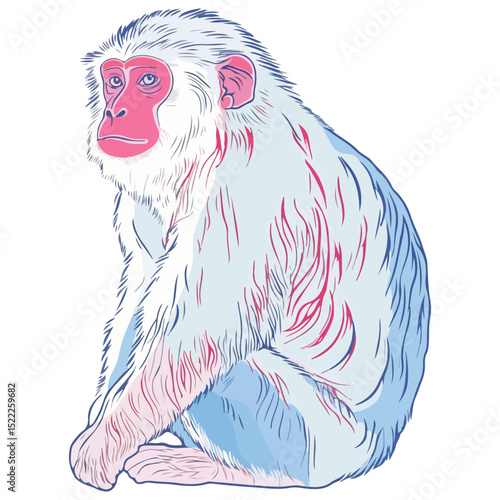 macaque, animal, vector, transparent background, mammal, symbol, wildlife, cute, zoo, nature, isolated, jungle, asia, icon