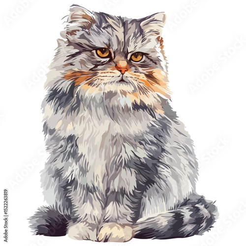 manul, animal, vector, transparent background, feline, fluffy, isolated, furry, mammal, beautiful, adorable, breed, cute, small, nature, wildlife, zoo