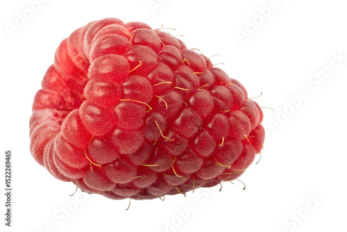 Fresh raspberry fruit close up view isolated on transparent background