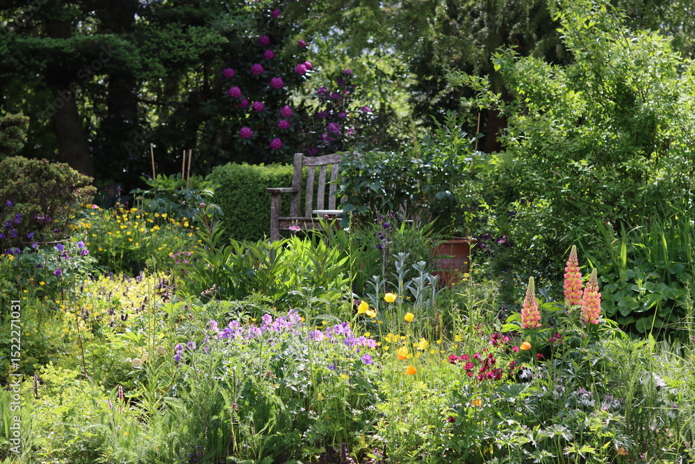 Colourful flower beds in a garden in spring Colourful flower beds in a garden in spring