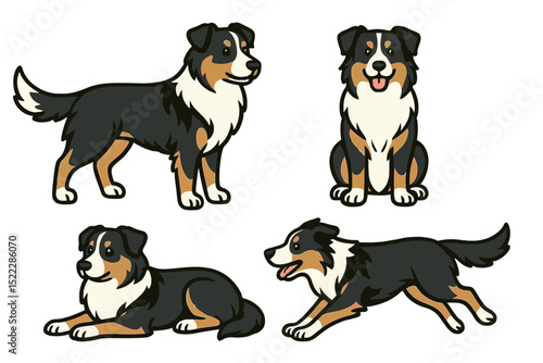 Australian Shepherd dogs in various poseson a transparent background  