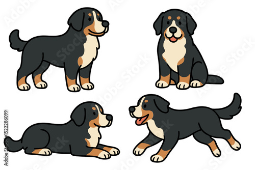 Bernese Mountain Dogs in various poseson a transparent background  