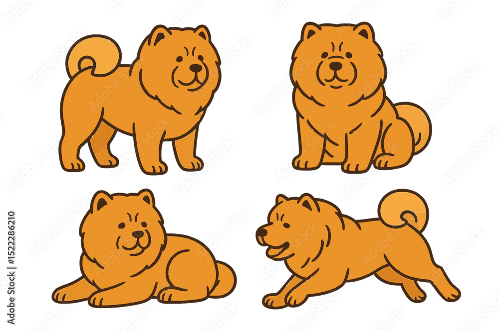 Illustrations of four Chow Chow dogs in various poseson a transparent background Illustrations of four Chow Chow dogs in various poseson a transparent background