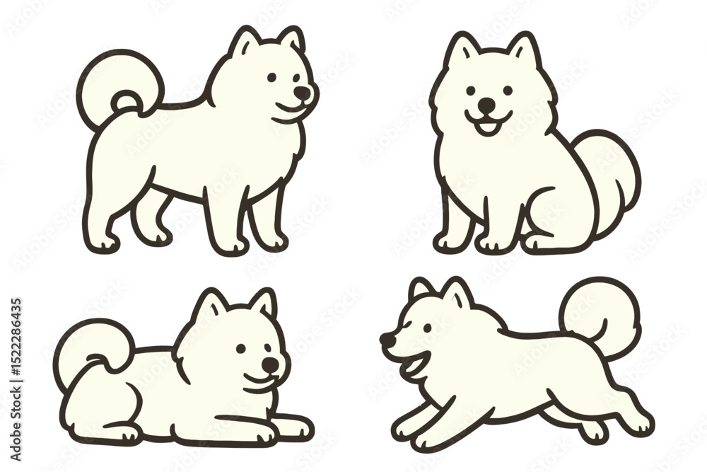 Four playful Samoyed dogs in different poseson a transparent background Four playful Samoyed dogs in different poseson a transparent background