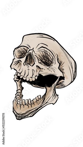 Wallpaper Mural Human Skull Colur Torontodigital.ca