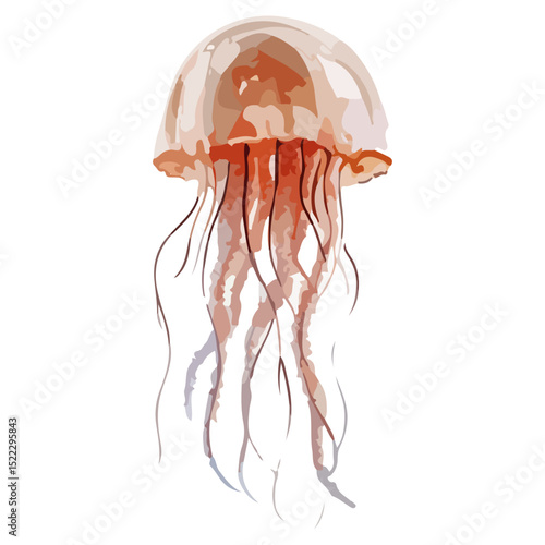 jellyfish, underwater animal, vector, transparent background, nature, icon, isolated, natural, animal, aquarium, ocean, underwater