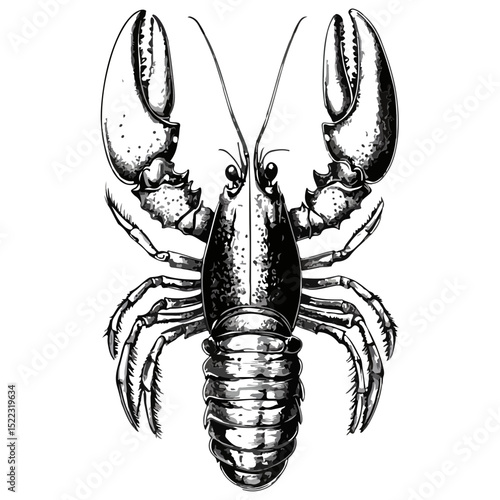 lobster, underwater animal, vector, transparent background, animal, nature, seafood, icon, food, crustacean, isolated, fresh, ocean