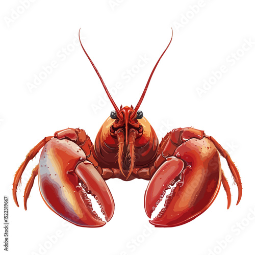 lobster, underwater animal, vector, transparent background, animal, nature, seafood, icon, food, crustacean, isolated, fresh, ocean