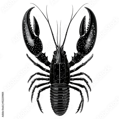 lobster, underwater animal, vector, transparent background, animal, nature, seafood, icon, food, crustacean, isolated, fresh, ocean