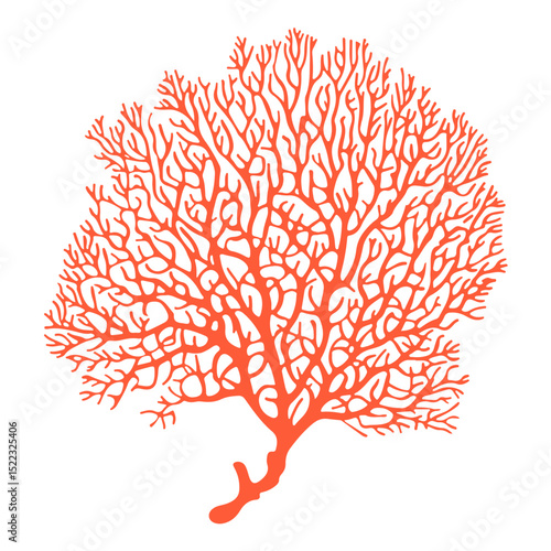 coral, underwater animals, vector, transparent background, icon, colorful, pattern, nature, animal, plant, organism