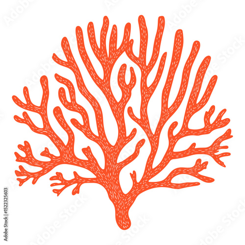 coral, underwater animals, vector, transparent background, icon, colorful, pattern, nature, animal, plant, organism