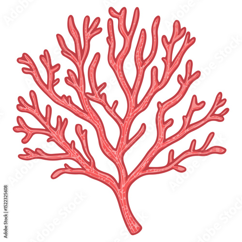 coral, underwater animals, vector, transparent background, icon, colorful, pattern, nature, animal, plant, organism