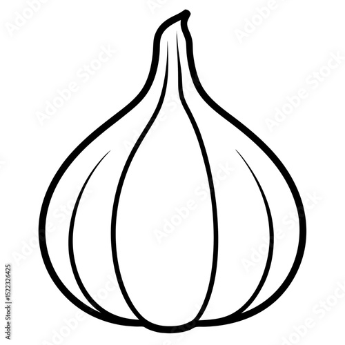 vector illustration of onion