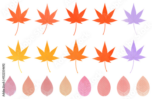 もみじ・紅葉・楓の水彩ベクターイラスト