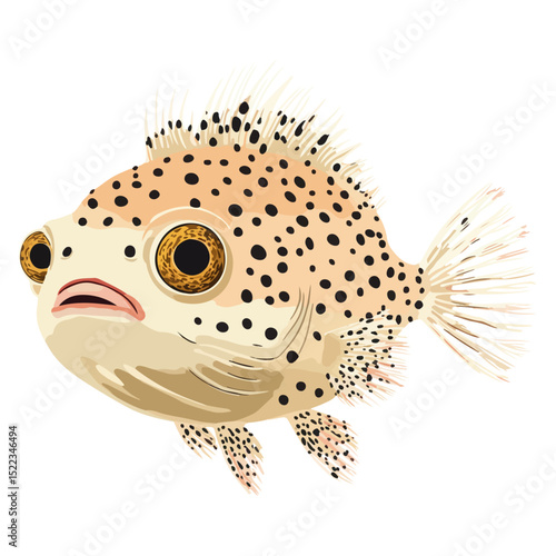 pufferfish, underwater animal, vector, transparent background, creature, fish, aquarium, ocean, isolated, cute, nature, icon, wildlife, underwater