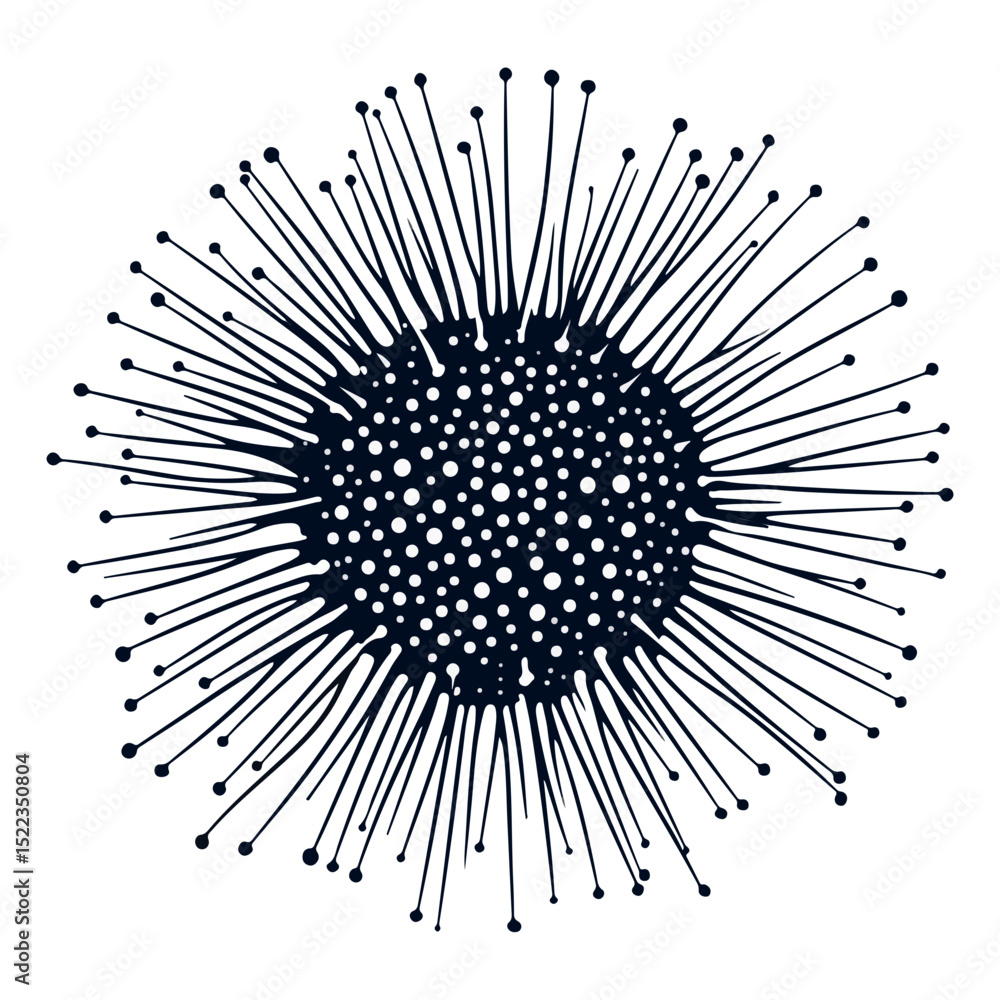 Obraz premium sea ​​urchin, underwater animal, vector, transparent background, creature, isolated, nature, food, pattern, ocean, natural, echinoderm, marine, animal