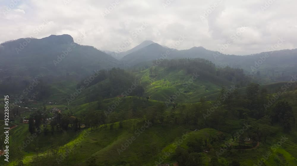 Top view of Tea plantations on the hillsides in the mountains of Sri Lanka. Tea estate landscape. Maskeliya. Top view of Tea plantations on the hillsides in the mountains of Sri Lanka. Tea estate landscape. Maskeliya.