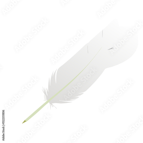 white feather isolated on white