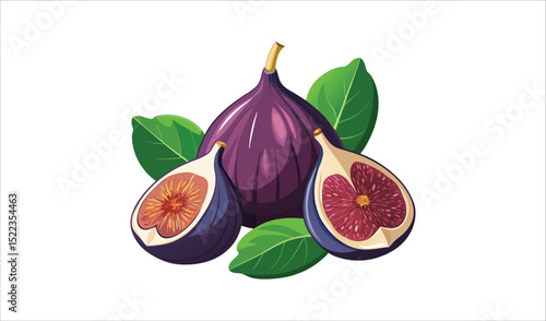 Fresh figs with leaves illustration