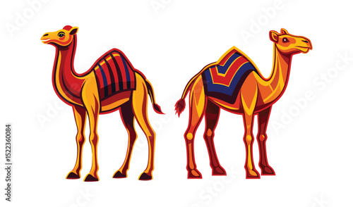 Photo of two richly adorned camels, isolated on white background, stand proudly displaying vibrant red and blue patterned saddle blankets