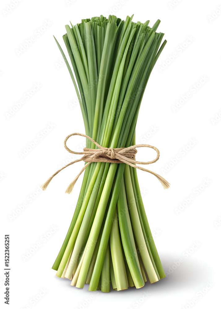 custom made wallpaper toronto digitalfresh green Lemongrass for advertising, marketing and promotion concept