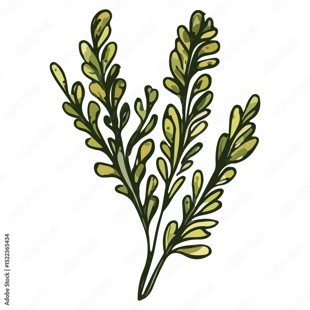 Fototapeta premium seaweed, underwater animals, vector, transparent background, organisms, pattern, green, nature, natural, branch, environment, eco, icon, ecology