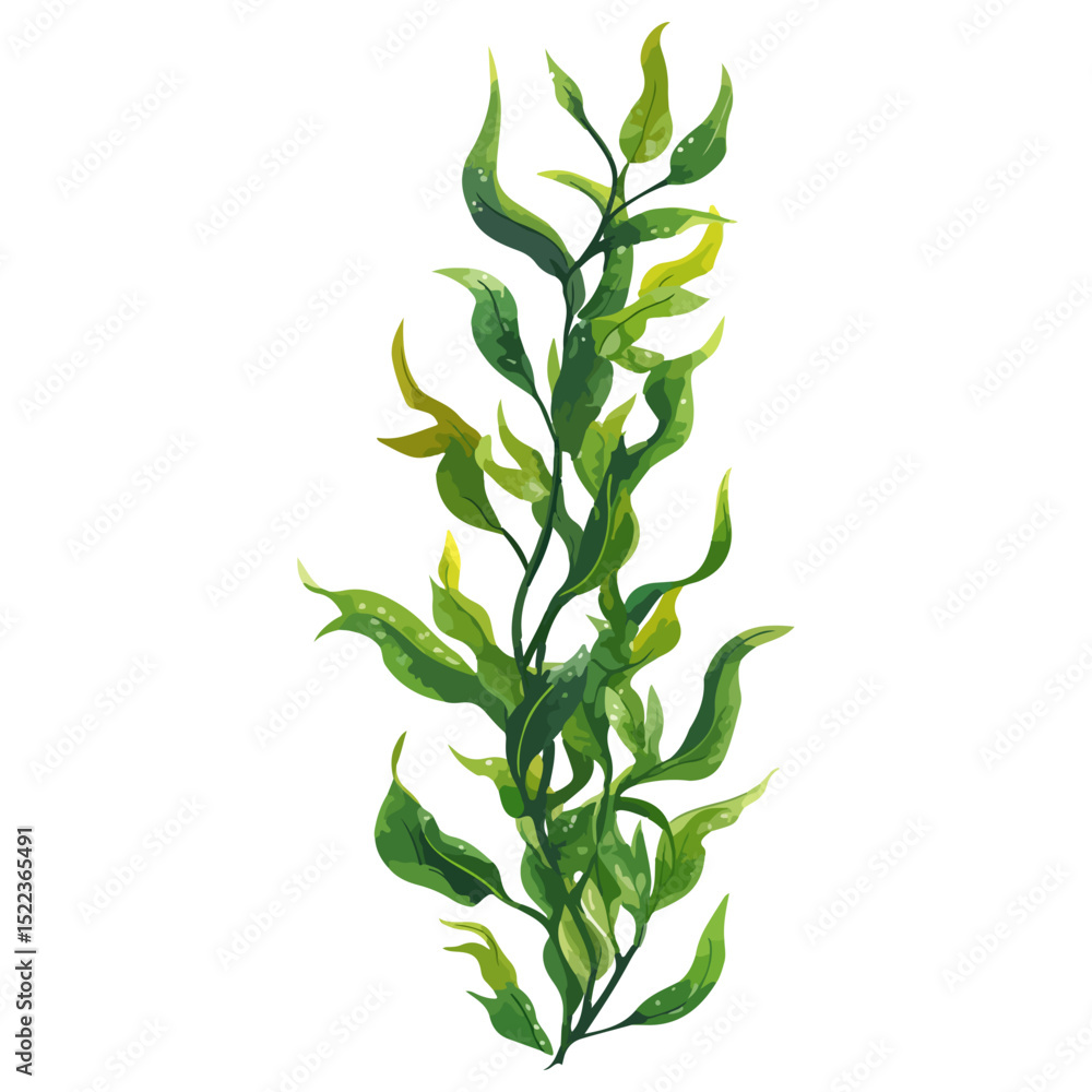 Fototapeta premium seaweed, underwater animals, vector, transparent background, organisms, pattern, green, nature, natural, branch, environment, eco, icon, ecology