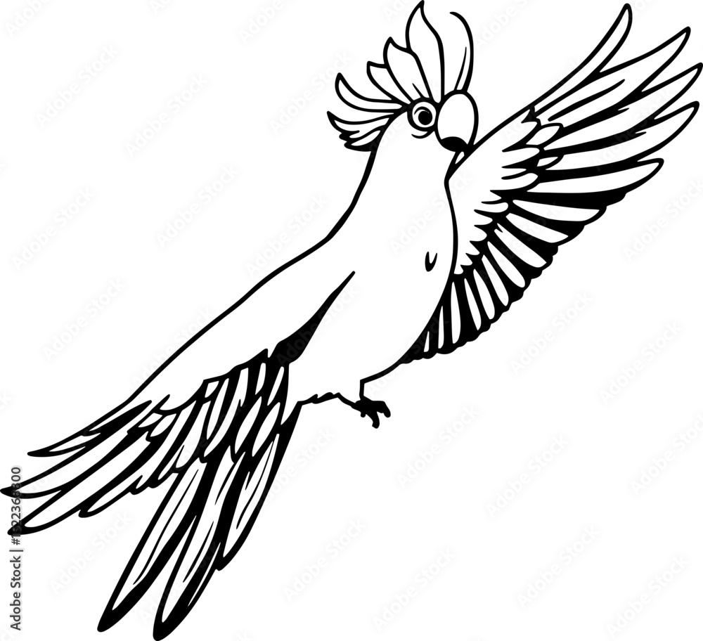 Obraz premium Black and White Vector Illustration of a Flying Cockatoo Parrot