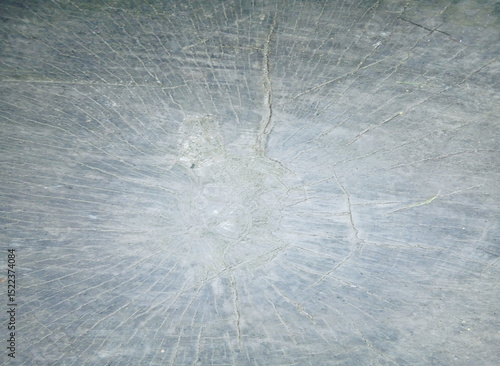 wooden texture background surface of a cut tree stump