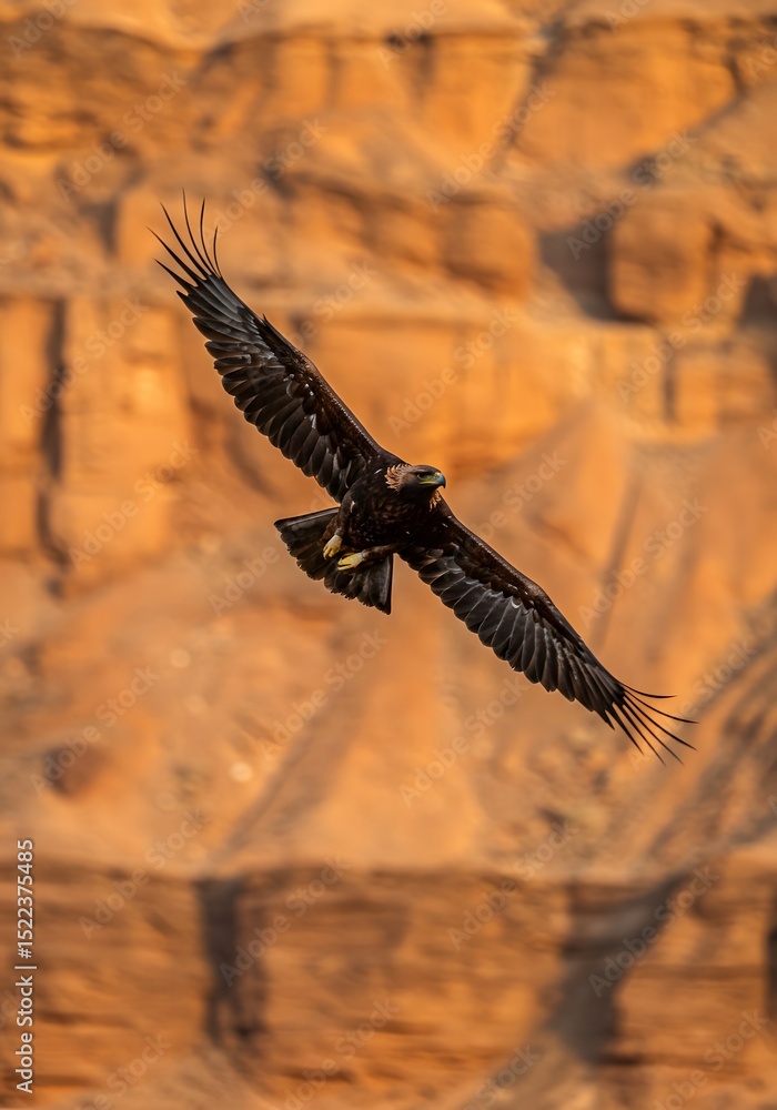 Naklejka premium Majestic Eagle in Canyon Flight
