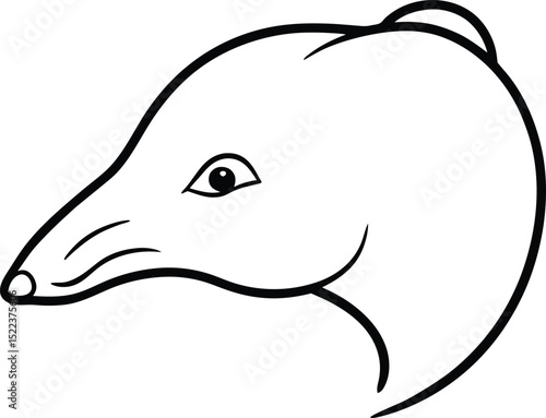 Elegant Line Drawing of a Solenodon Head Unique Mammalian Profile Illustration
