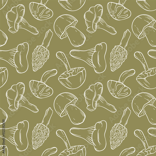 Seamless pattern of line art style mushroom on green background. Boletus, porcini, Chanterelle, Morel, Niscalo, Shiitake, Autumn Skullcap. Perfect for food delivery pakage, nature or botanical autumn
