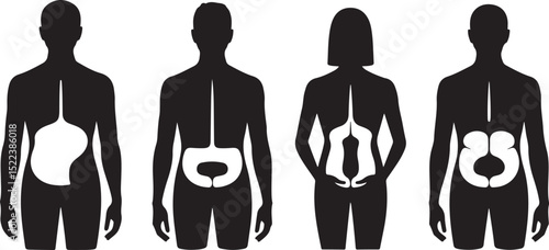 Male and Female Body Silhouettes with Internal Organs