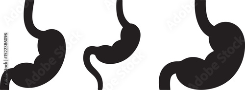 Human Stomach Anatomy Illustration Three Stages Black Silhouettes